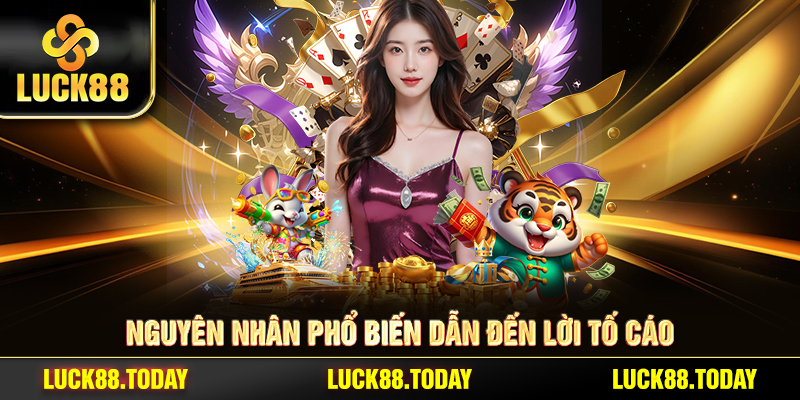 Nguyên nhân phổ biến dẫn đến lời tố cáo