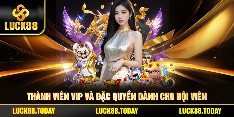 Thành viên VIP và đặc quyền dành cho hội viên